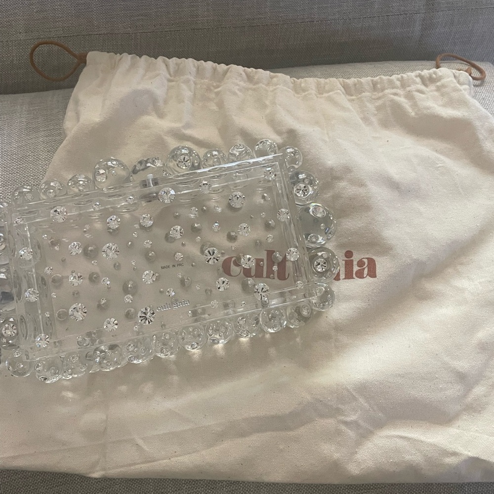 Cult Gaia Clear Acrylic Clutch